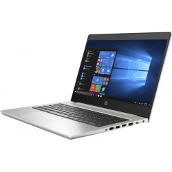 HP ProBook 455 G7 2D237EA