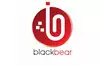 Black Bear - smartphone catalog, secret codes, user opinion 