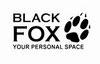 Black Fox - smartphone catalog, secret codes, user opinion 