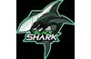 Black Shark - smartphone catalog, secret codes, user opinion 