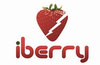 iberry - smartphone catalog, secret codes, user opinion 