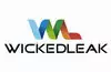 Wickedleak - smartphone catalog, secret codes, user opinion 