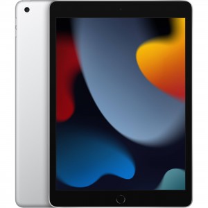 Apple 10.2" iPad (9th Gen, 256GB, Wi-Fi Only) MK2P3LL/A